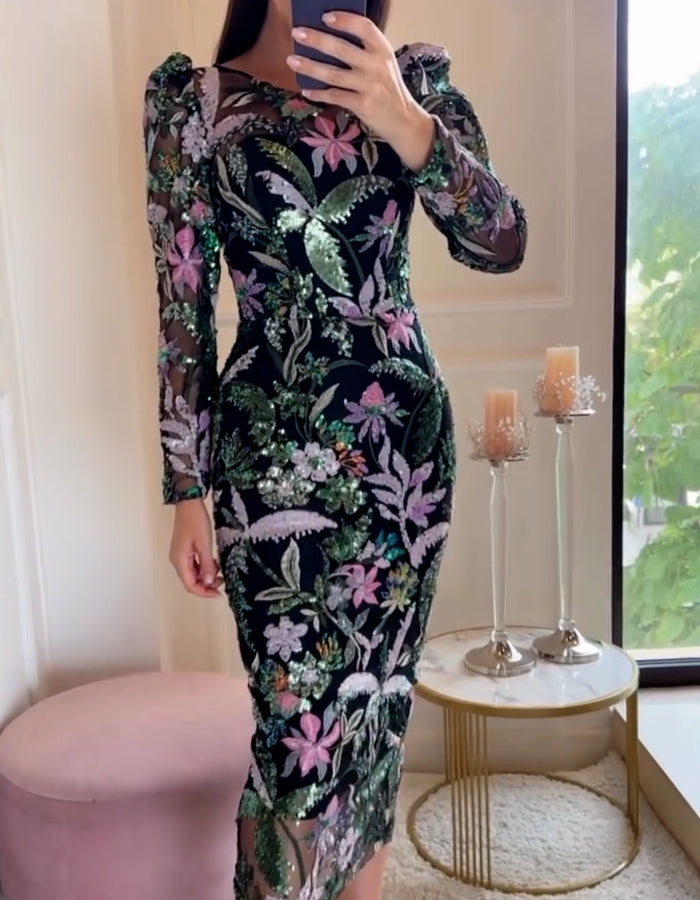 Embroidered Sequins Fitted Dress