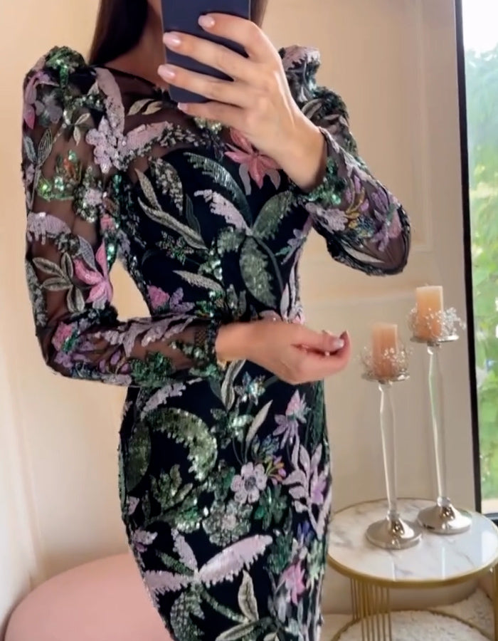 Embroidered Sequins Fitted Dress