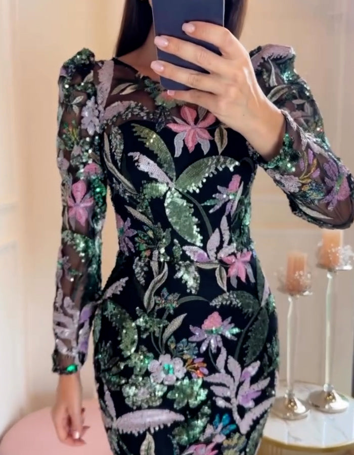 Embroidered Sequins Fitted Dress