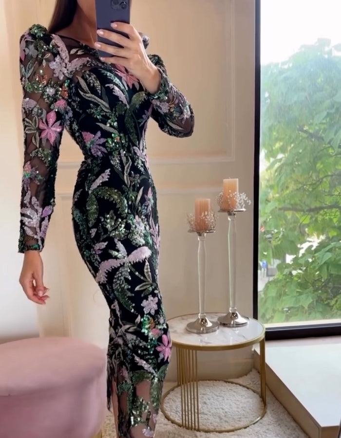 Embroidered Sequins Fitted Dress