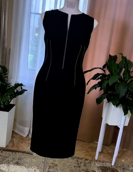 Fitted Sleeveless Dress